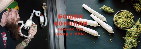 шишки Мегион