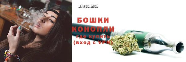 шишки Мегион