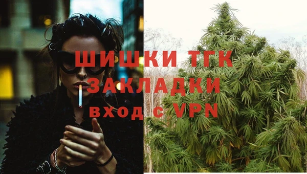 шишки Мегион