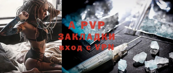шишки Мегион