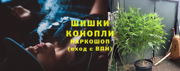 шишки Мегион