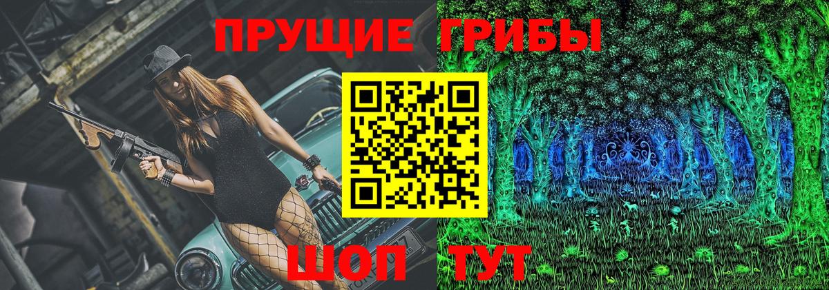 Галлюциногенные грибы Psilocybe Муравленко